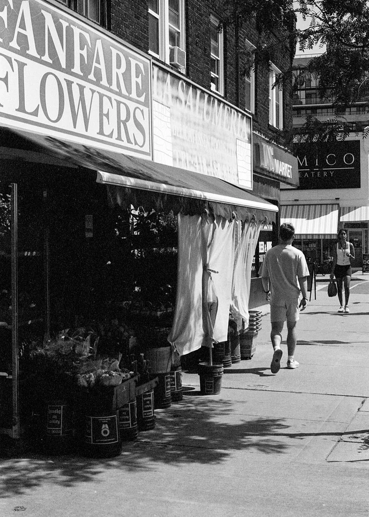 Walking Down Yonge St.Aug 2026
