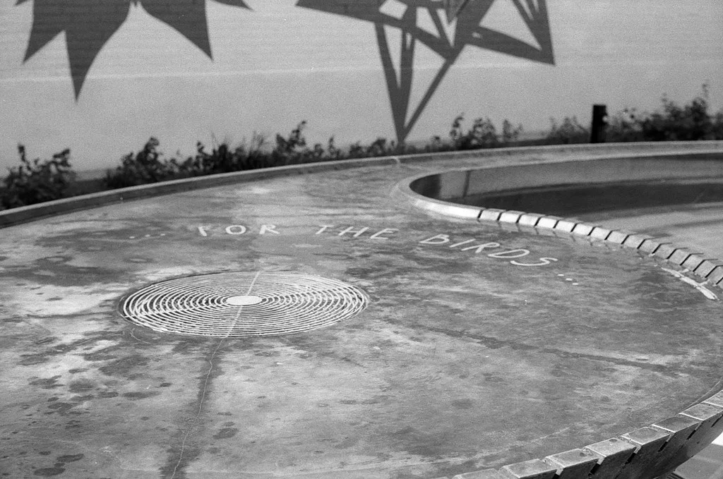 Mirvish Village Fountain One