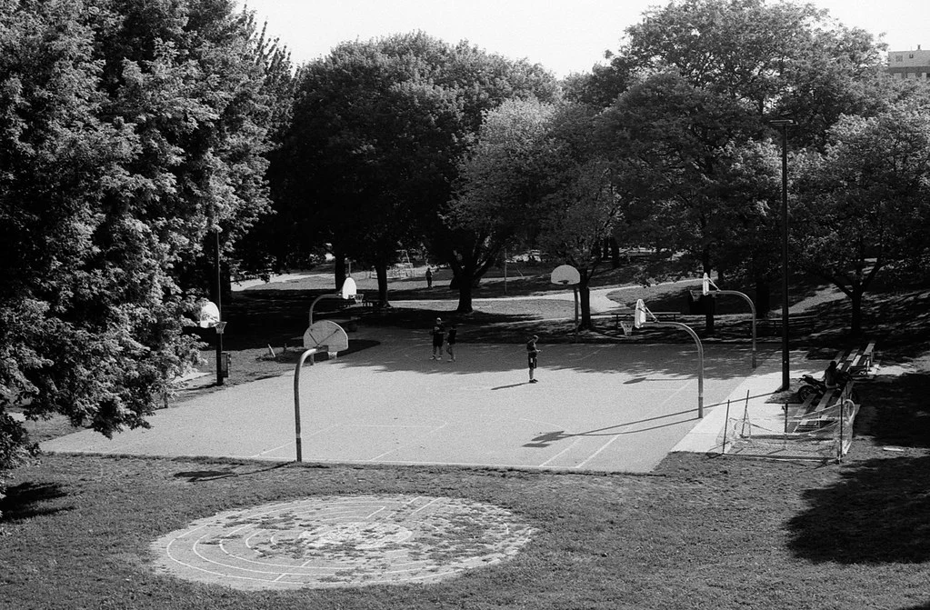 Christie Pitts Basketball Courts July 2026