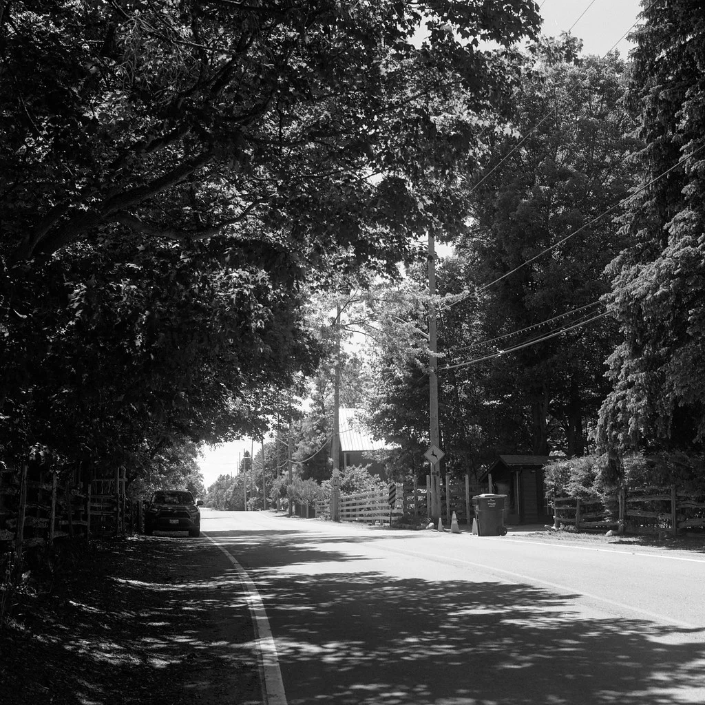 Bush St. July 2026
