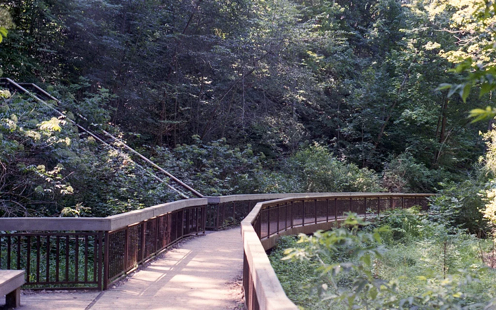 Path in the Glenn Stewart Ravine July 2026