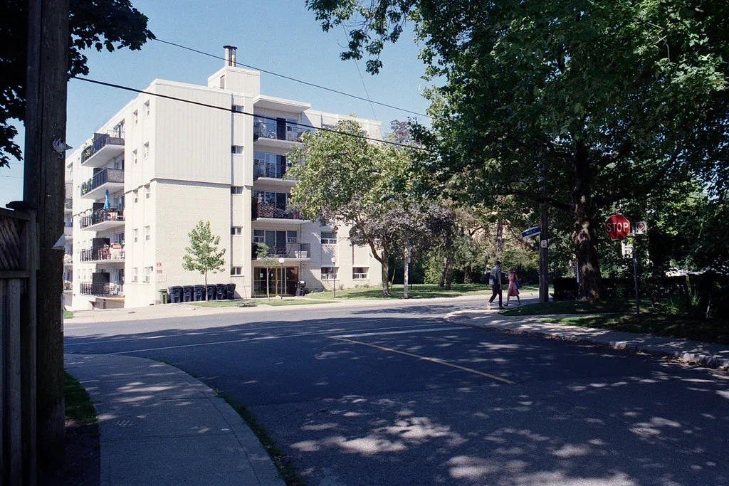 The View off Main July 2026