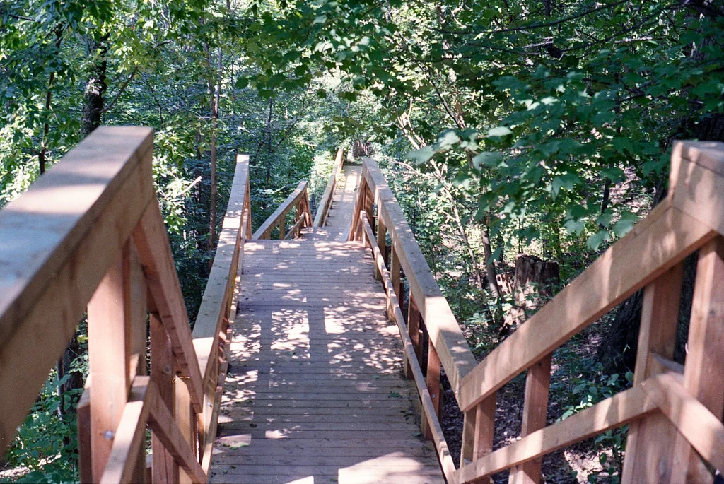 Stairs Down to the Glenn Stewart Ravine July 2026