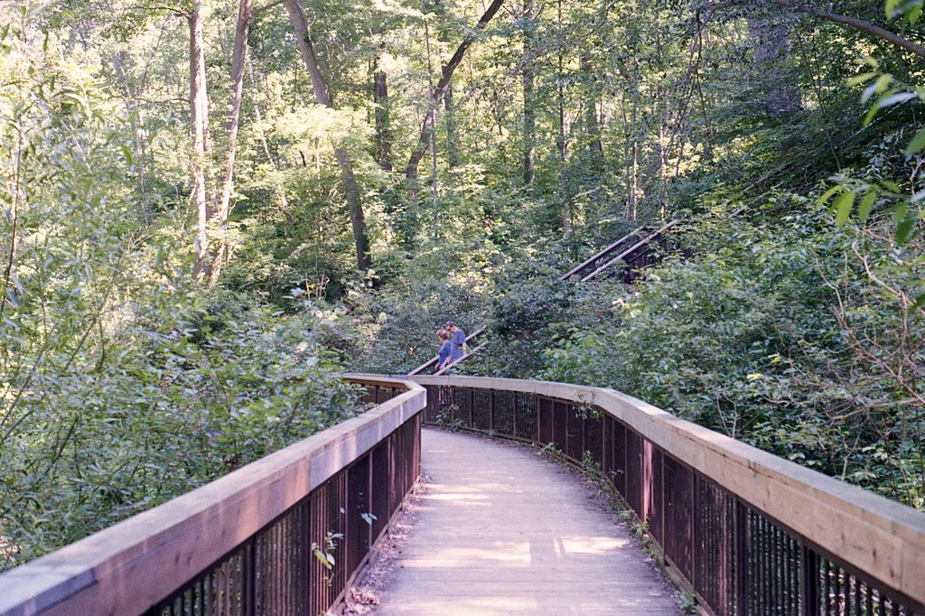 Path Curve and Stairs in the Glenn Stewart Ravine July 2026