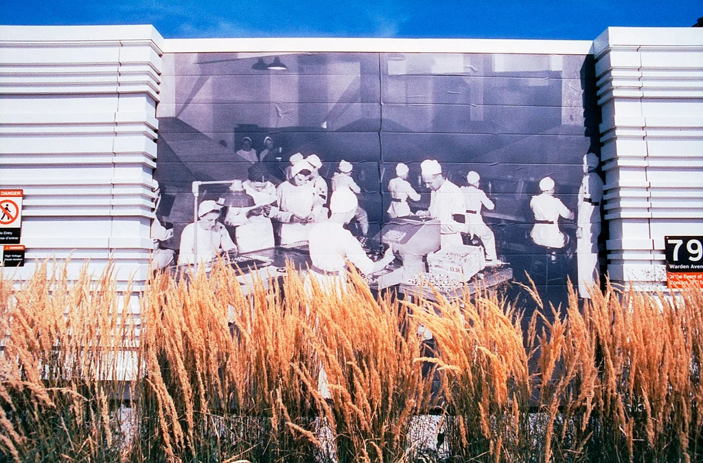 Warden Golden Mile Mural Aug 2026