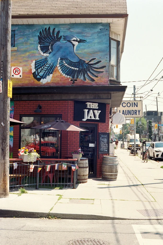 The Jay July 2026
