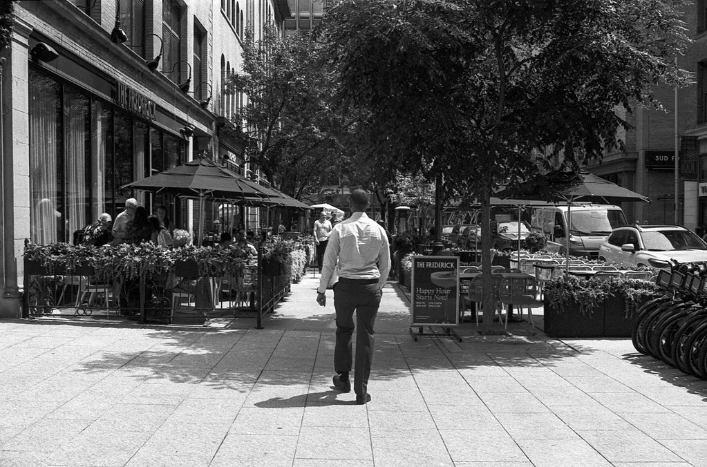 Walking Along Temperance July2026