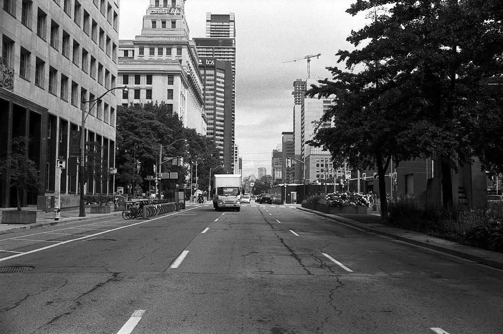 Looking Up University Southbound July2026