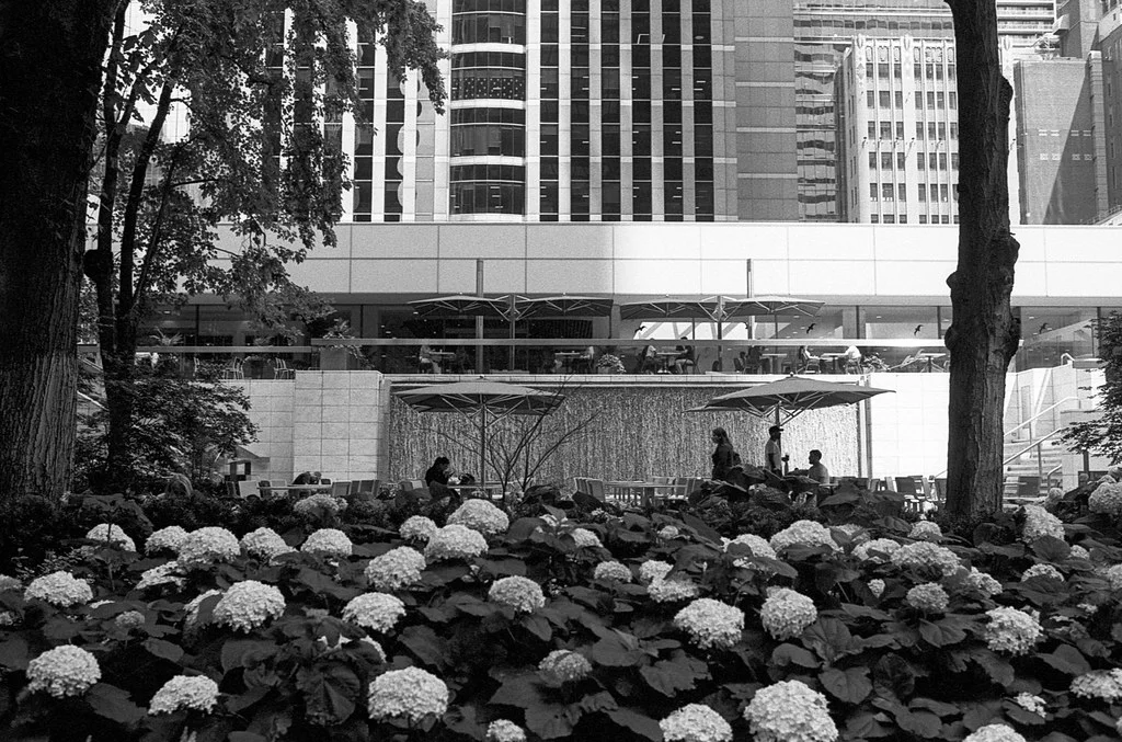 First Canadian Place Plaza and Garden July2026