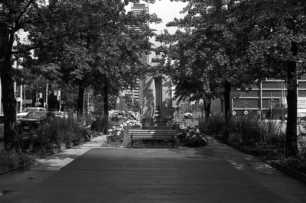 Garden in the Middle of Univserity July2026