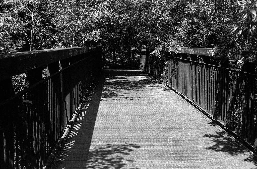 BRidge Into the Brickworks Park June 2026