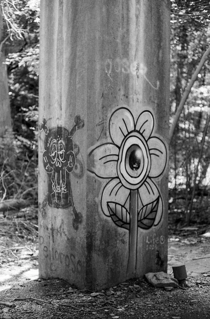 Flower on the Concrete Trestle Column