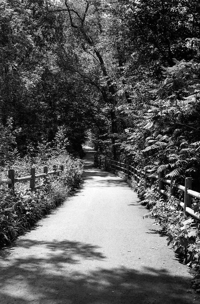 Path DBeltline Trail Mud Creek Section Thourgh the Trees June 2026
