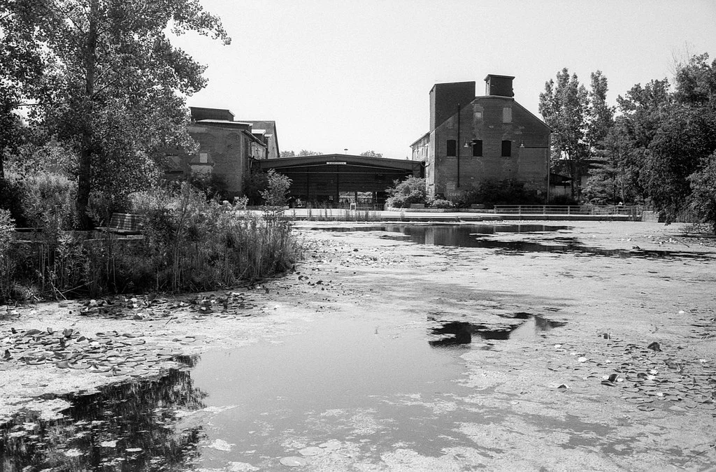 Brickworks Main Pond