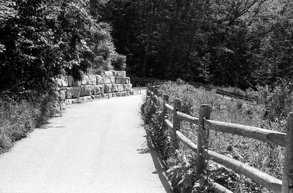 Path Down to the Beltline Trail Mud Creek Section June 2026