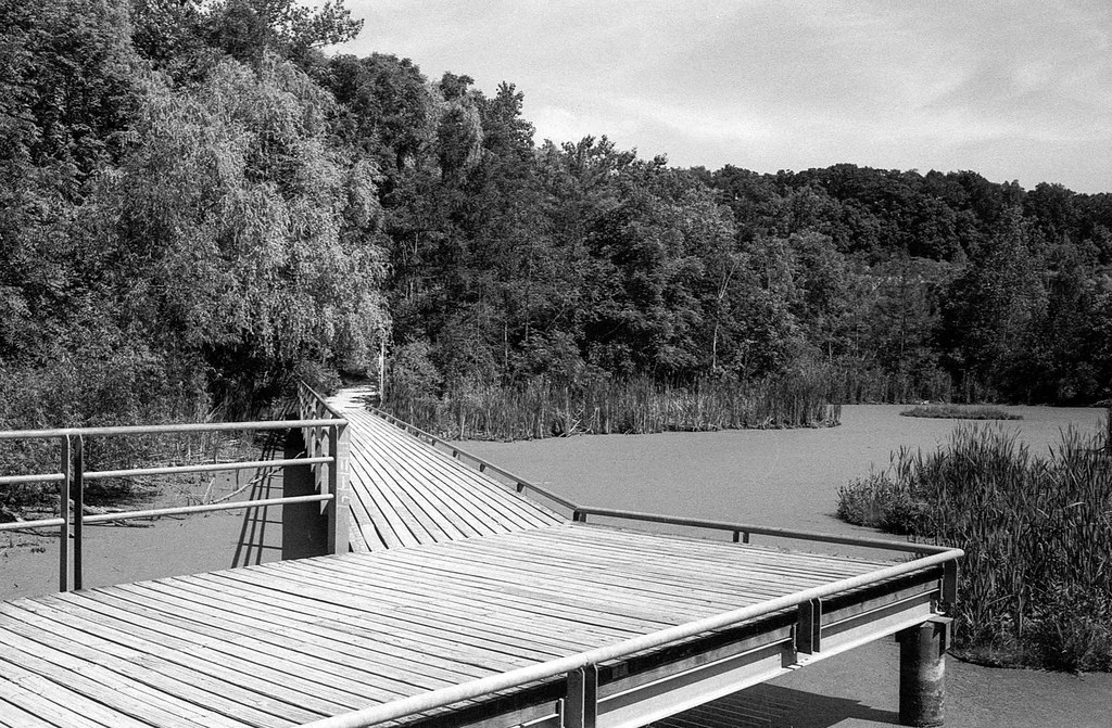 Brickworks Pond Network Lookout June 2026