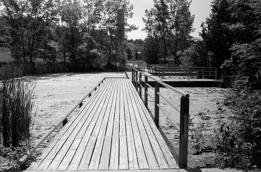 Brickworks Pond Network Path June 2026