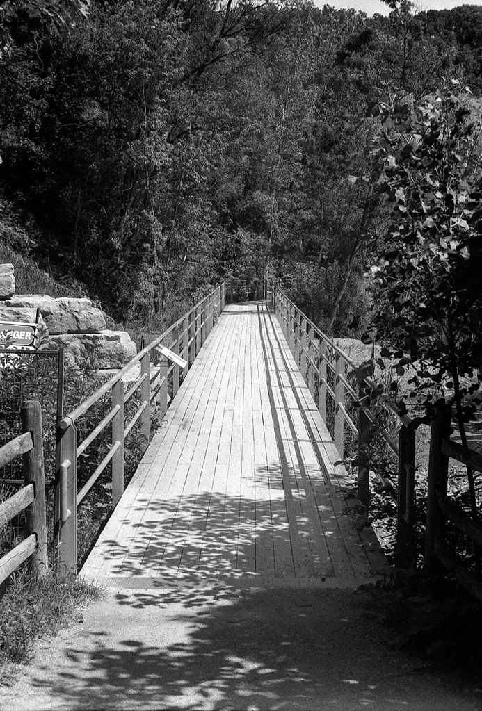 Bridge Within the Brickworks Pond Network June 2026