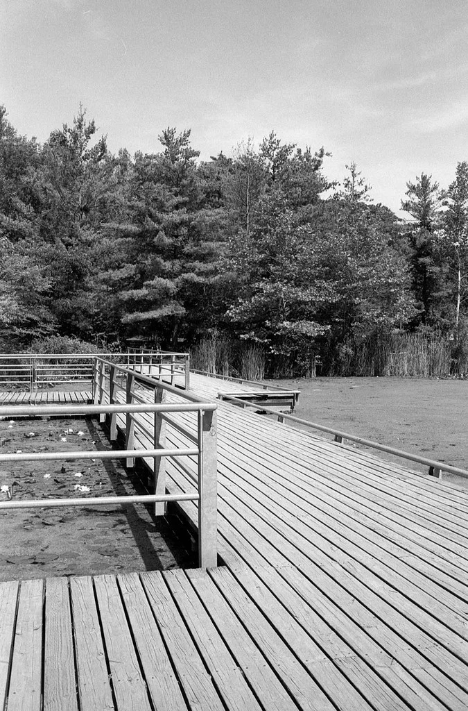 Zig Zag Pond PAth June 2026