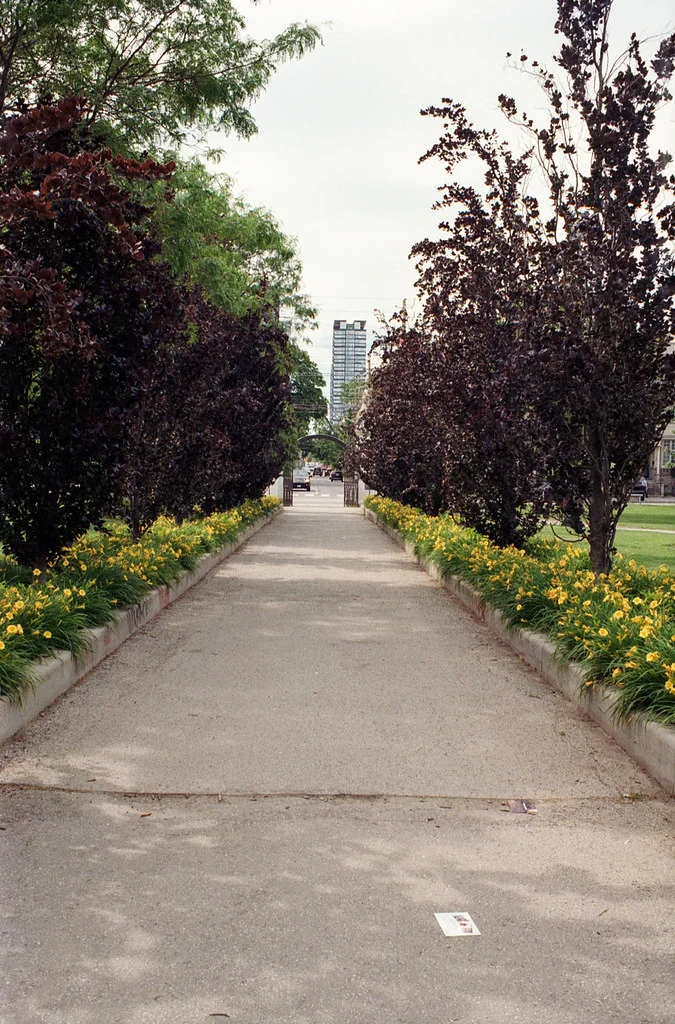 Trinity Bellwoods South Entrance June 2026