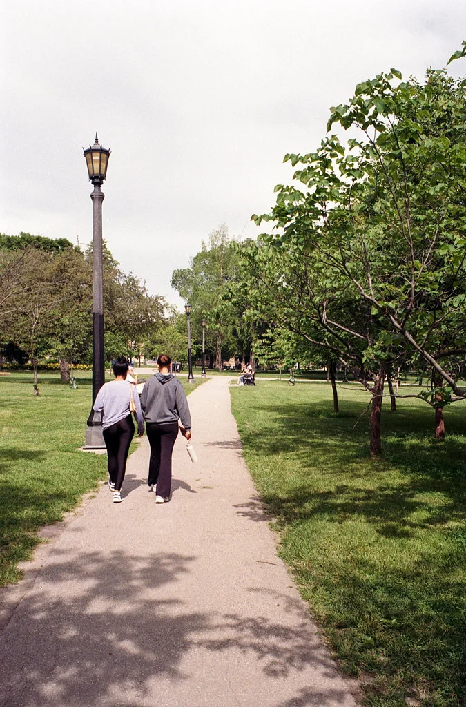 Trinity Bellwoods Walk Through June 2026