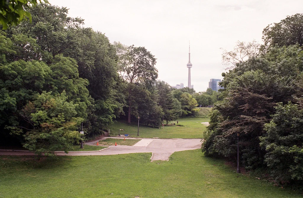 Trinity Bellwoods View of the CN Tower June 2026