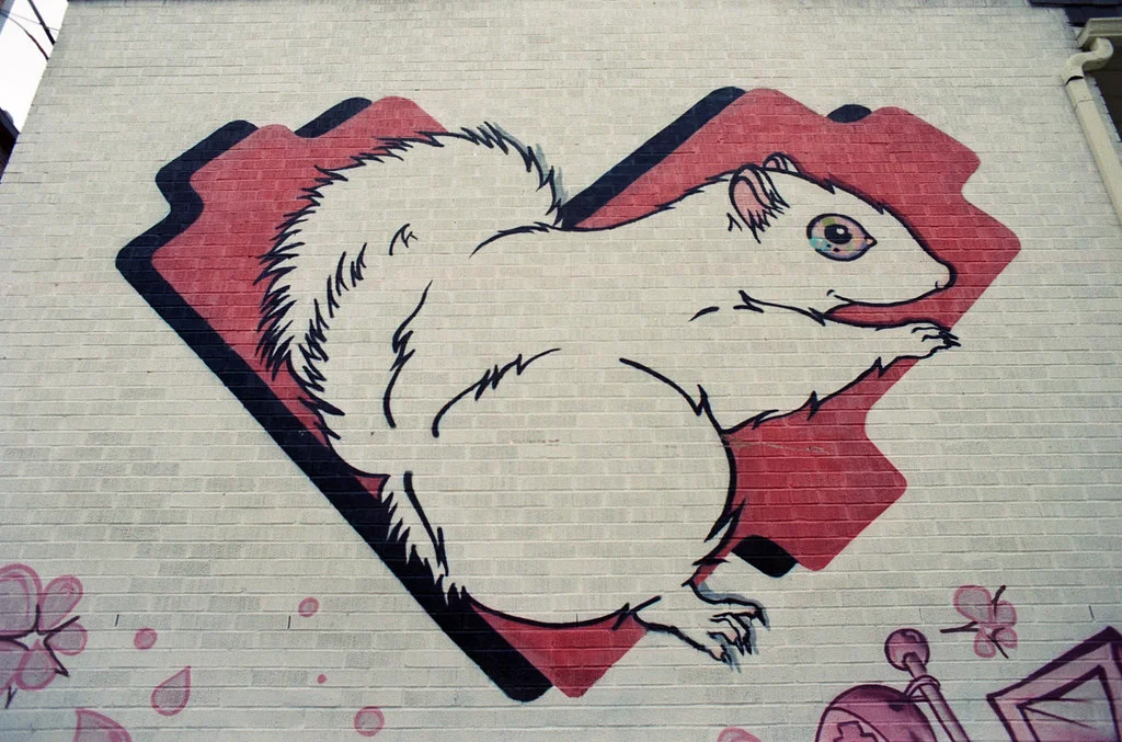 Love Squirrel June 2026