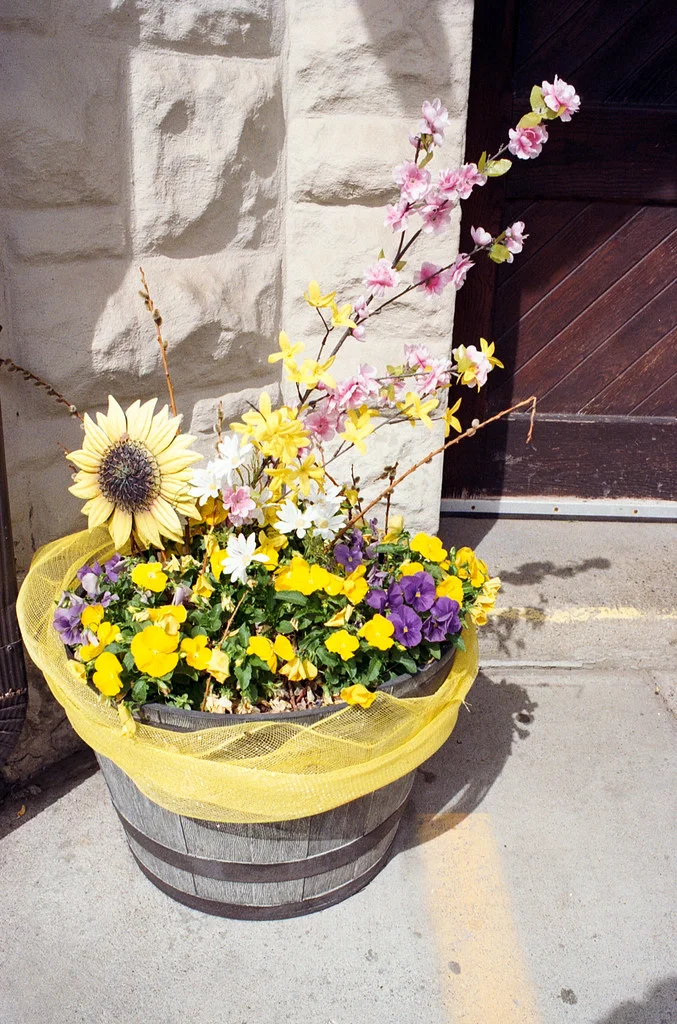 St. Nicholas Flowers June 2026