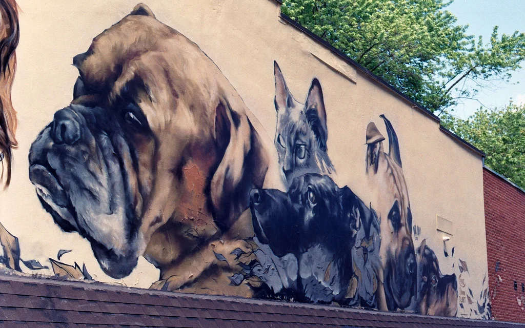 Man's Best Friends. June 2026