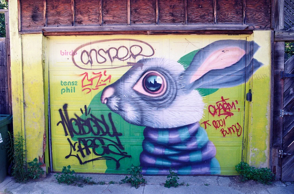 Croft Ave Rabbit June 2026