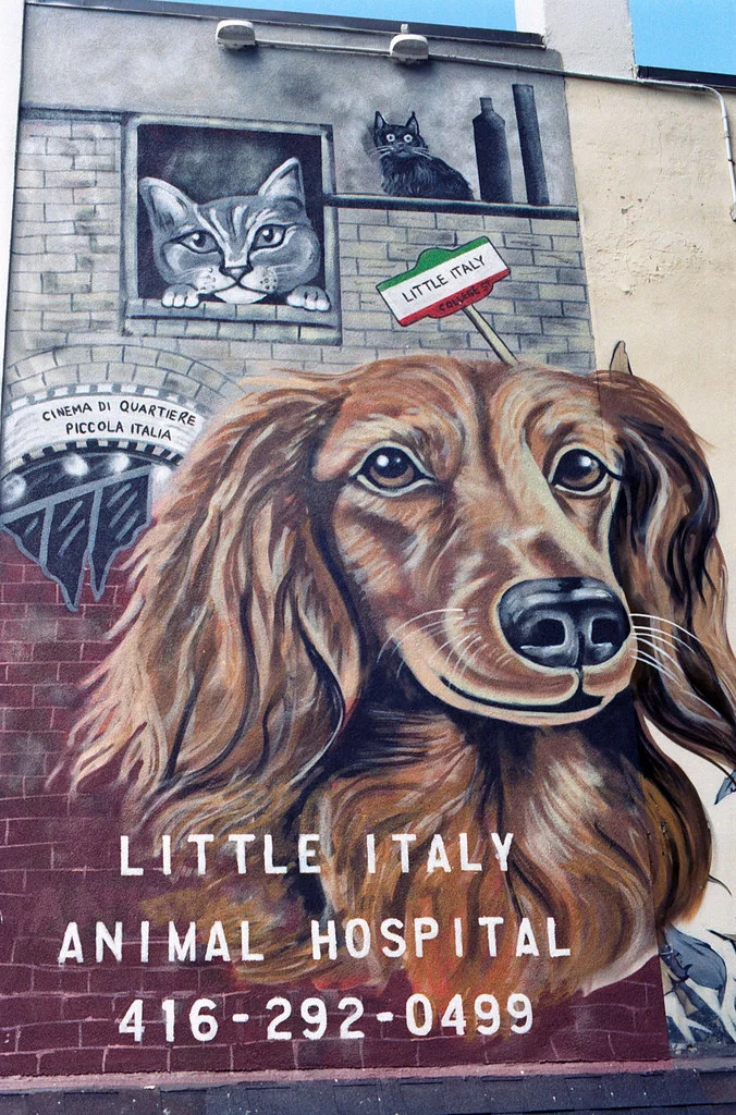 Little Italy Vets June 2026